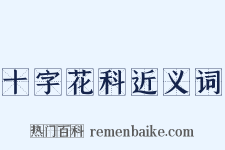 十字花科近义词是什么意思的图片
